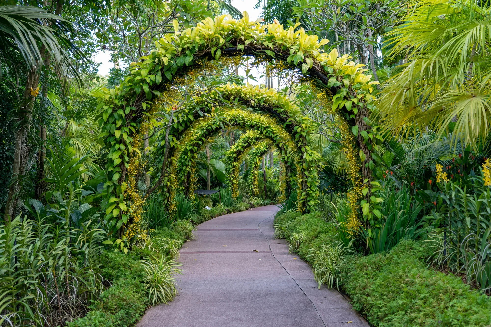 Linda Paisagem Decorada